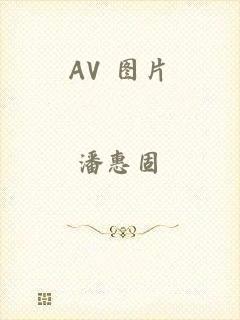 AV 图片